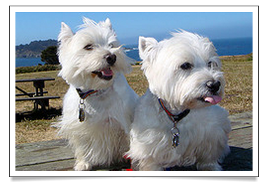 <br />
<b>Warning</b>:  Undefined array key 